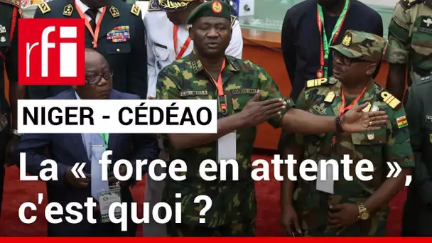 Crise au Niger - Cédéao : qu'est ce que c'est au juste la « force en attente » ? • RFI