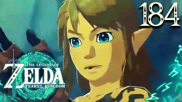 Zelda Tears of the Kingdom #184 : WHAT ?! CETTE NOUVELLE ZONE EST 100% FOLLE !