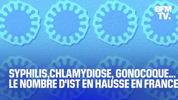 Syphilis,chlamydiose, gonocoque... Le nombre d'IST en hausse en France