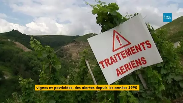 Vignes et pesticides, des alertes depuis les années 1990 | Franceinfo INA