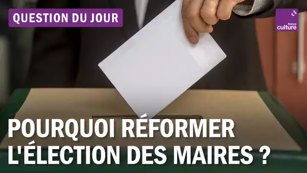 Paris, Lyon, Marseille : pourquoi réformer l'élection des maires ?