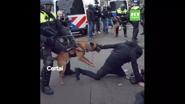 Amsterdam : violents affrontements entre policiers et manifestants anti-restrictions sanitaires