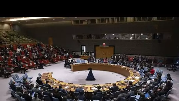 Guerre à Gaza : à l'ONU, Moscou et Pékin mettent leur veto à la demande d'un cessez-le-feu imm…