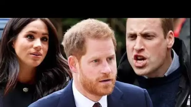 Prince Harry and Meghan Markle's pal has 'number one target' - and it's not King Charles