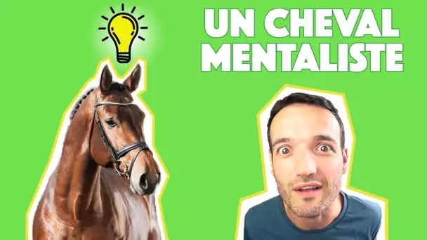 Un cheval mentaliste qui décrypte le non verbal !