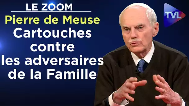 Cartouches contre les adversaires de la Famille - Le Zoom - Pierre de Meuse - TVL