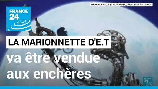 Cinéma : la marionnette d'E.T. va être vendue aux enchères • FRANCE 24