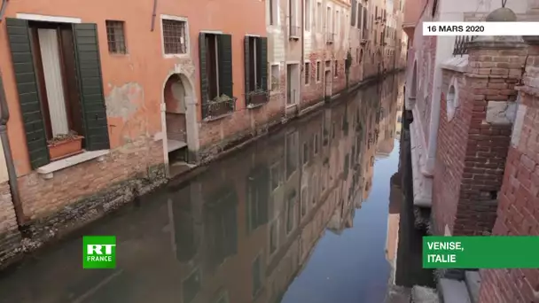 Venice canals GFX