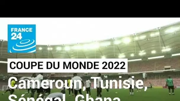 Coupe du monde de football 2022 : Tunisie, Maroc, Cameroun, Ghana et Sénégal qualifiés