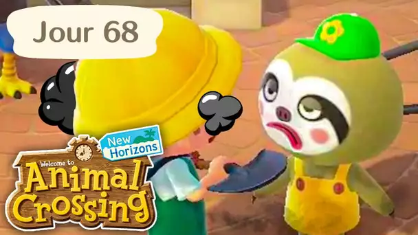 Jour 68 | Marre de Racine | Animal Crossing : New Horizons