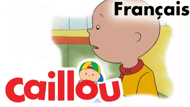 Caillou FRANÇAIS - Un chien spécial (S02E02) | conte pour enfant | Caillou en Français