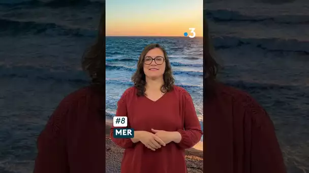 Lexique en langue des signes : vive les vacances !
