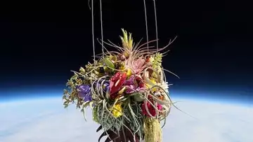 Azuma Makoto a lancé des fleurs dans l’espace !