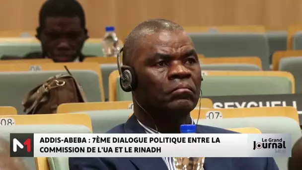 Addis-Abeba : 7ème dialogue politique entre la Commission de l’UA et le RINADH