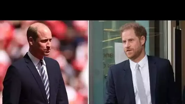 La fureur du prince William contre le prince Harry à propos de l'accord avec Netflix alors que la fa