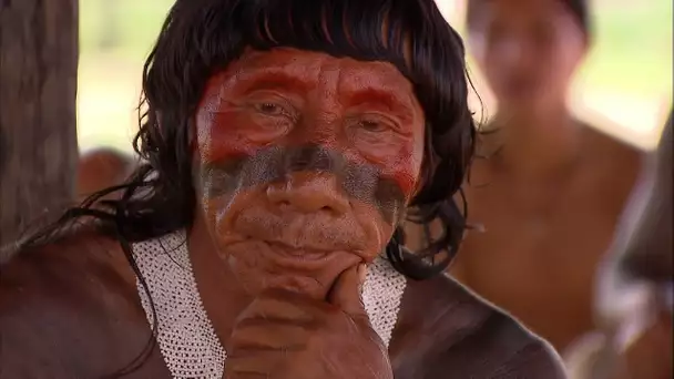 L'existence des indiens du Brésil menacée par la culture du soja