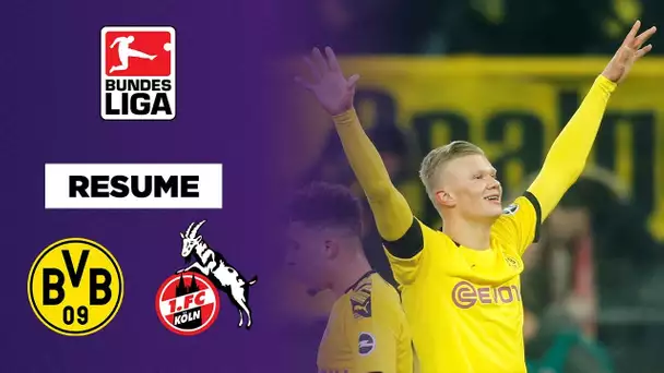WEB RESUME DORTMUND