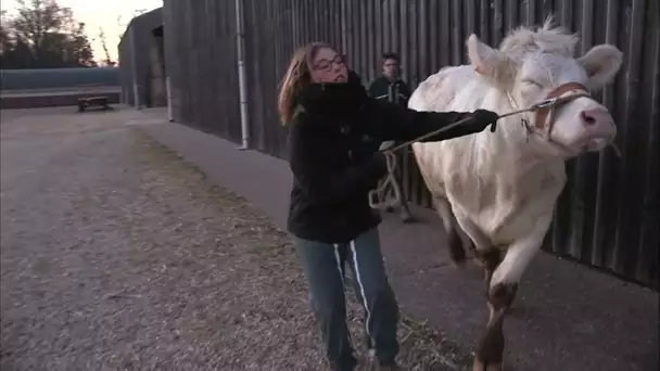 Je suis l'agricultrice de demain !