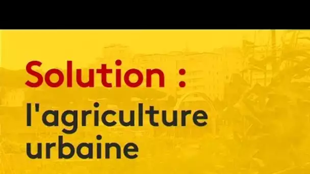 Nantes : l&#039;essor de l&#039;agriculture urbaine