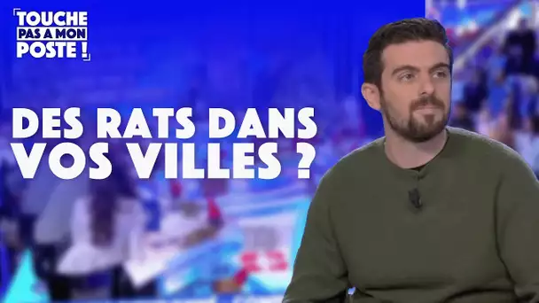 Les dératiseurs débordés à cause d'une invasion de rats !