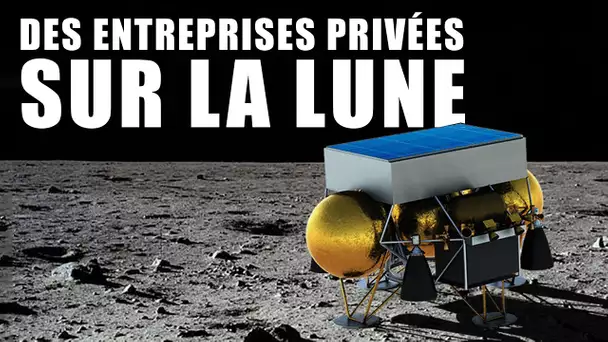 CLPS - Des ENTREPRISES PRIVÉES sur la LUNE ! LDDE