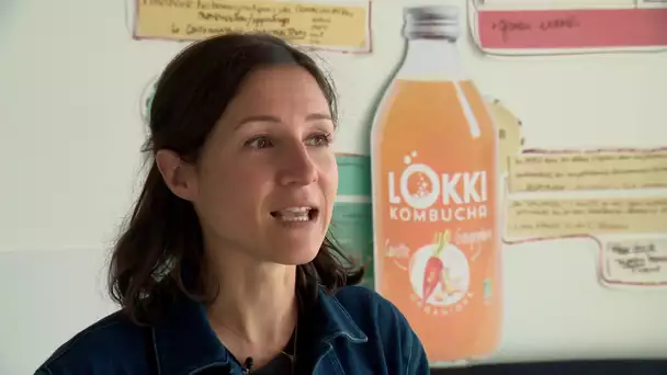 PrioriTerre à Cavaillon: Lokki kombucha, une boisson  naturellement gazeuse et riche en probiotiques