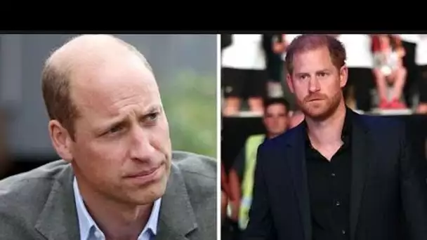 Le prince William « vide Harry de son esprit » car il n’y a « aucun moyen de revenir » pour les frèr