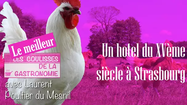 Un hotel du XVème siècle à Strasbourg - Le meilleur des coulisses de la gastronomie - TVL