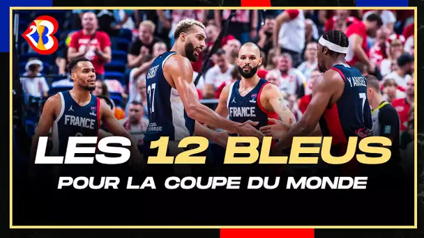 L'ÉQUIPE DE FRANCE POUR LA COUPE DU MONDE : ON CONNAÎT LES 12 !