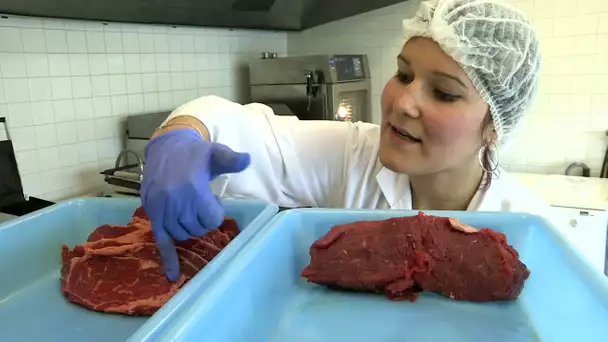 Tous les secrets d'un bon steak