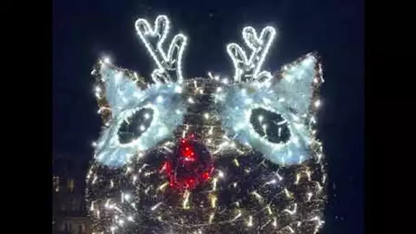 Découvrez les illuminations de Noël à Rouen