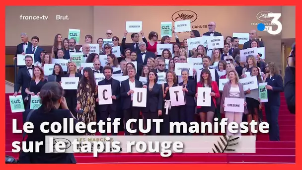 Festival de Cannes. Un collectif manifeste sur le tapis rouge pour défendre la transition écologique