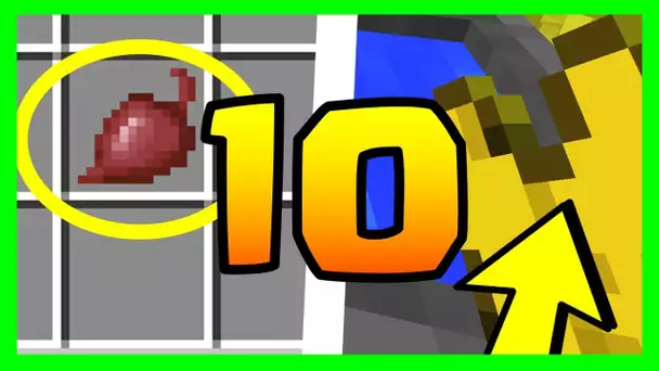 LE SAVIEZ VOUS ? 10 SECRETS SUR LES COLORANTS MINECRAFT