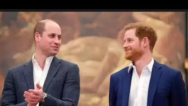 Le prince Harry "a appelé William pour discuter d'un déménagement à Londres sans en informer Meghan"