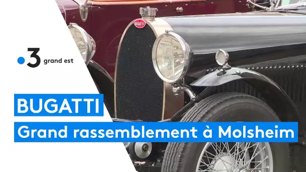Festival Bugatti : des voitures prestigieuses de toute l'Europe réunies à Molsheim