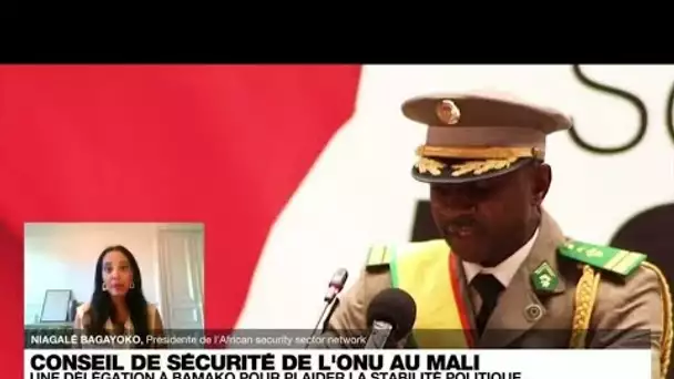 En visite au Mali, la délégation de l'ONU appelle à faire pression sur la junte • FRANCE 24