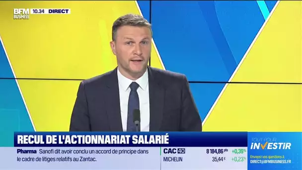 Doze d'économie : Recul de l'actionnariat salarié