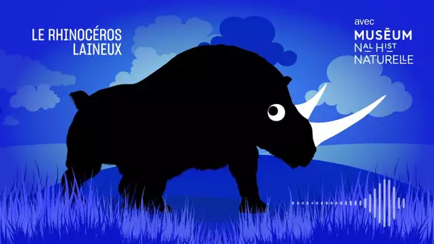 Le rhinocéros laineux : la corne qui sent bon la laine - Bestioles fossiles