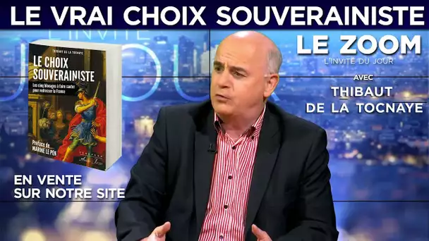 Thibaut de La Tocnaye : le vrai choix souverainiste - le zoom - TVL