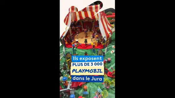 "Plus de 15 000 pièces" : l’immense collection Playmobil de David et Mélanie, exposée dans le Jura