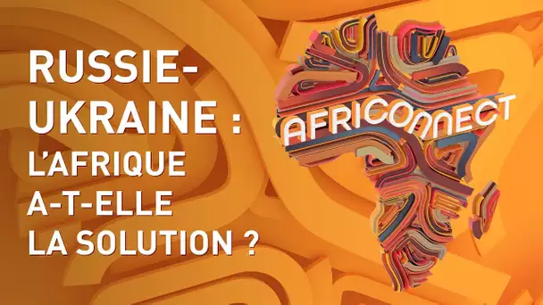 🌍 AFRICONNECT 🌍 RUSSIE-UKRAINE : L’AFRIQUE A-T-ELLE LA SOLUTION ?