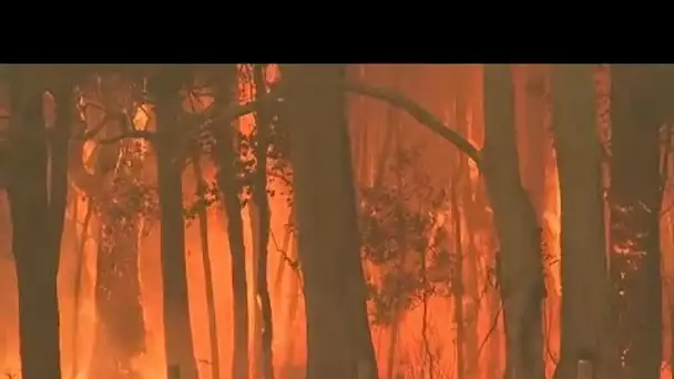 Les incendies en Australie s'intensifient et se rapprochent de Syndey