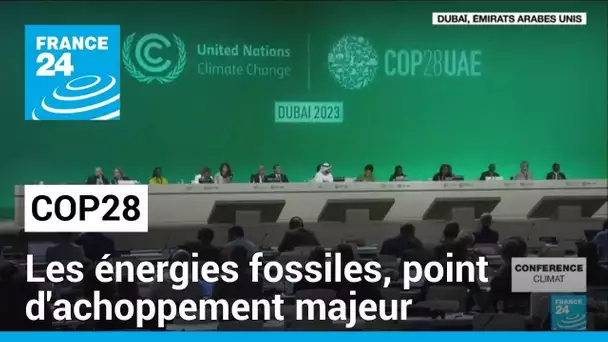 COP28 : la question des énergies fossiles, point d'achoppement majeur • FRANCE 24