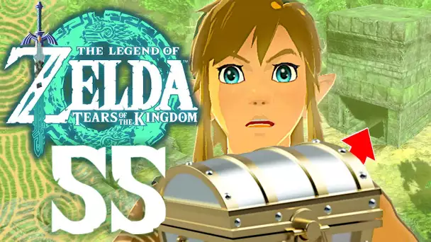 ZELDA TEARS OF THE KINGDOM #55 | LE TRÉSOR DES RUINES DU DRAGON !