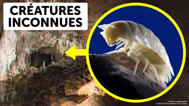 Des Scientifiques Ont Ouvert Une Grotte Vieille De 5 Millions D’années Et Sont Restés Sans Voix