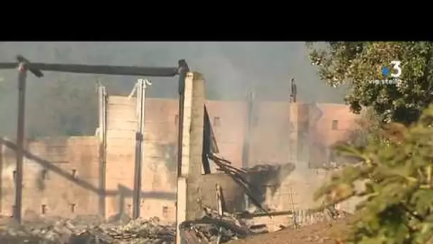 Olmeto : Incendie dans un hangar agricole
