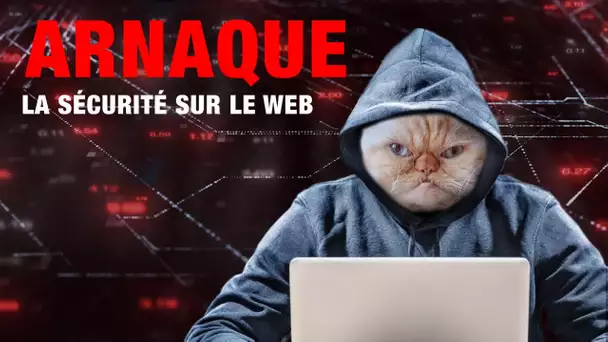 ARNAQUE SUR INTERNET | Ne cliquez pas