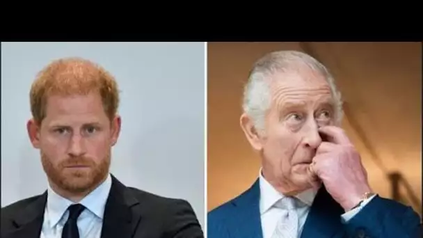 Le roi Charles « protège la famille royale » du « tsunami du chaos » avec le snobisme de Duke