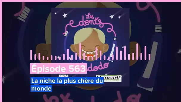 Les dents et dodo - Épisode 563 : La niche la plus chère du monde