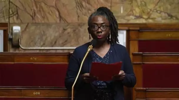 Danièle Obono de nouveau malmenée : ce tweet homophobe et raciste qui choque